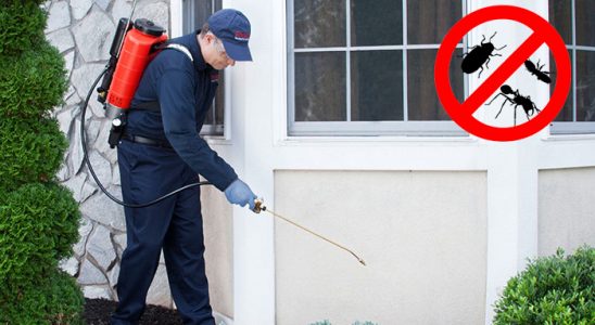 Haymana Karınca İlaçlama böcek ilaçlama ve haşere kontrolü — ilaclama-tr.com